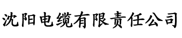 小蝌蚪安卓旧版本电缆厂logo